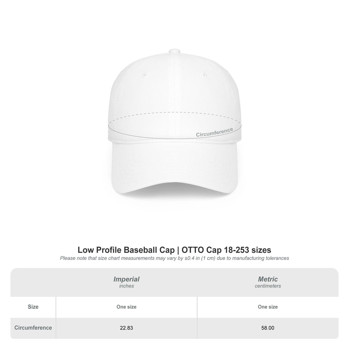 Cat Dad Since 2026 Low Pofile Baseball Cap